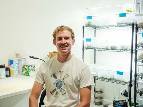 Wesley Bryan is the owner of The World of Isopods. He currently has up to 252 variations of isopods that he breeds and sells.