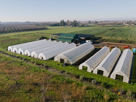 Ariel photo of Burns Blossom Farm.