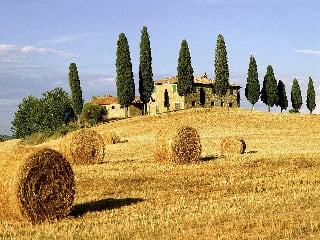 Italian countryside