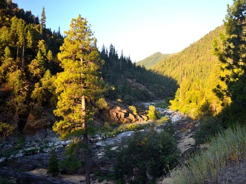 The Scott River in Siskiyou County.