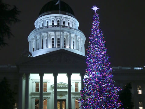 The state Christmas tree glows from the 10,000 ultra-low wattages LED bulbs after lighting ceremonies held by Gov. Jerry Brown at the Capitol in Sacramento, Calif. Tuesday, Dec. 2, 2014.
