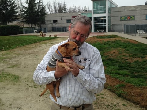 SPCA CEO Rick Johnson calls the crime "horrific."  Here he's holding "Gus" a dog for which the SPCA is trying to find a home. 