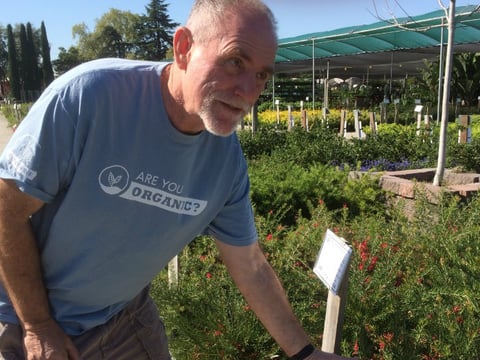 Green Acres horticulture expert Greg Gayton.