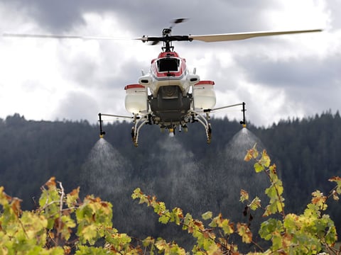 In this Oct. 15, 2014, file photo, a drone called the RMAX, a remotely piloted helicopter, sprays water over grapevines during a demonstration of it's aerial application capabilities at the University of California, Davis' Oakville Station.