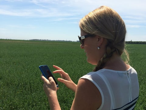Soil scientist Anne Burkholder uses the app SoilWeb to determine the soil type in an alfalfa field in Davis, CA. 