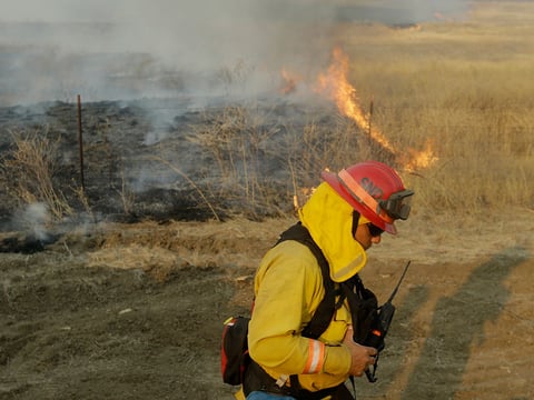 A firefighter monitors a spot fire from the Jerusalem fire near Lower Lake, Calif., Wednesday, Aug. 12, 2015. 