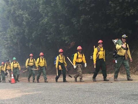 Crew from Connecticut heads to the fire line on the River Complex Fire, Sunday, Aug. 16, 2015. 