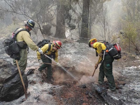 Firefighters mopping up on Mad River Complex Fire, Wednesday, Aug. 19, 2015.