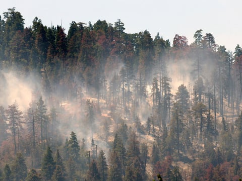 Smoke emanates from the tree line close to homes near Big Bear Lake ski resort, Calif., Monday, Aug. 24, 2015.
