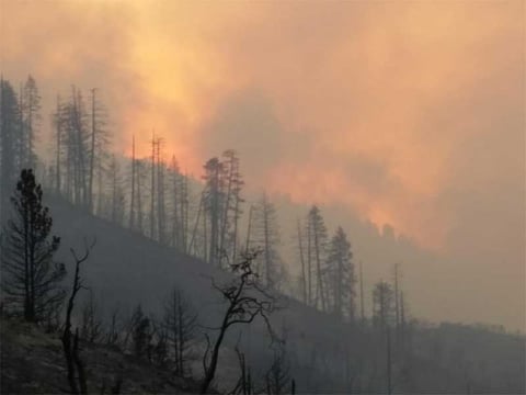 The Rough Fire in the Sierra National Forest continues to burn. Photo uploaded Tuesday, Sept. 1, 2015. 