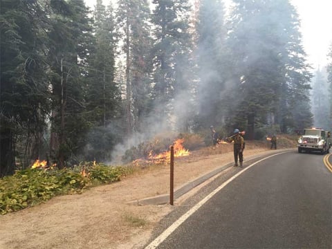 Crews firing along Highway 180, north of Grant Tree, on the Rough Fire, on Friday, Sept. 11, 2015. 