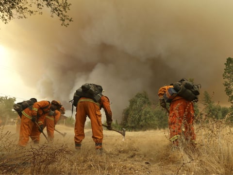 A California Department of Corrections and Rehabilitation inmate work crew builds a containment line ahead of a wildfire in Sheep Ranch, Calif., Sunday, Sept. 13, 2015. 