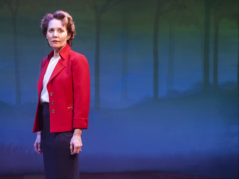 Amy Resnick stars in Blackberry Winter at Capital Stage.