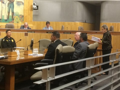 Gun rights advocates speak in opposition to a gun control bill during Tuesday's Senate Public Safety Committee hearing at the California state Capitol.