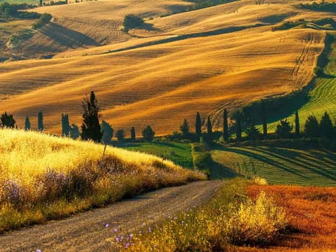 Summer in Tuscany