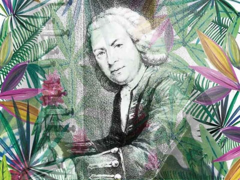 Bach through a Brazilian perspective