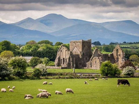 Hore Abbey, a ruined monastery near the Rock of Cashel, County Tipperary