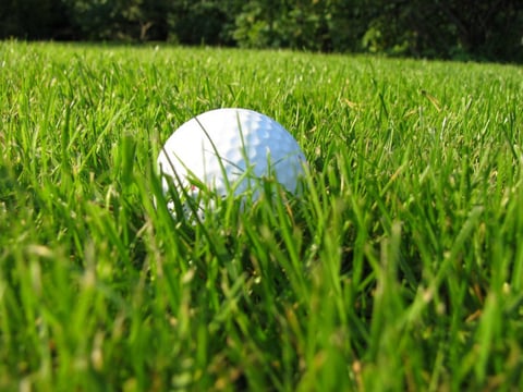 An closed golf course in Rocklin could get new life as a housing development.