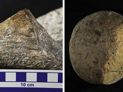 (Left) A close-up view of a spirally fractured mastodon femur. (Right) A boulder discovered at the Cerutti Mastodon site in San Diego County thought to have been used by early humans as a hammerstone.