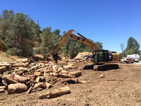 An excavator operator splits large logs with an attachment called a "wood screw" in Newcastle.