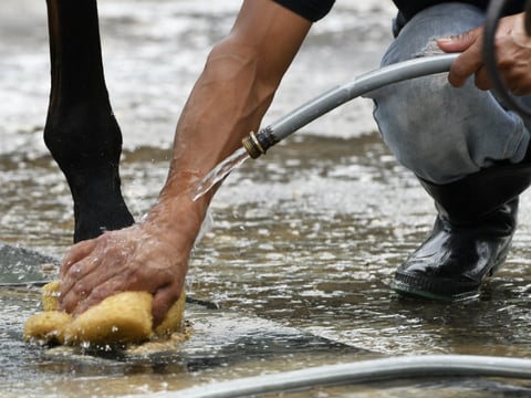 Groom Edgar La Luz washes the hooves of one of the horses being trained by Dale Romans following a morning workout at Churchill Downs, Wednesday, April. 19, 2017, in Louisville, Ky. in this file photo.