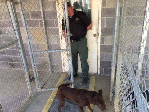 Jeremy Packard, the statewide K-9 coordinator for the California Department of Corrections and Rehabilitation, with K-9 trainee Pilot.