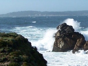 Point Lobos State Natural Reserve, near Carmel, Calif.