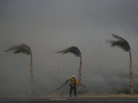 Palm trees sway in a gust of wind as a firefighter carries a water hose while battling a wildfire at Faria State Beach in Ventura, Calif., Thursday, Dec. 7, 2017.