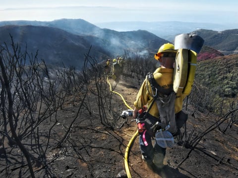 In this photo from the Santa Barbara County Fire Department, Santa Barbara County Firefighters haul dozens of pounds of hose and equipment down steep terrain below E. Camino Cielo to root out and extinguish smoldering hot spots in Santa Barbara.