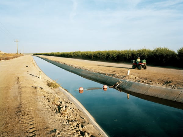An irrigation ditch that runs parallel to a Wonderful Company pomegranate orchard.