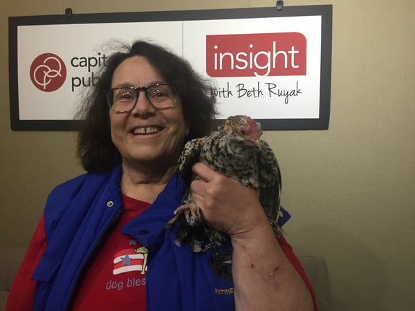 Gina Spadafori with her chicken winnie (a mille fleur bantam type chicken).