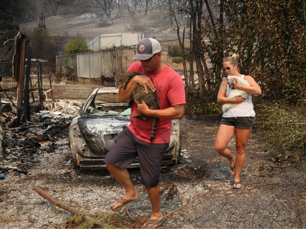 Wade and Keela Brilz rescue their cats from their burned-out home in Redding.