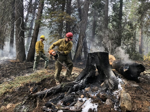 As a prescribed burn makes its way through a forest crews follow it making sure hazard trees are cut down. It’s a preventative measure taken to ensure the public’s safety.