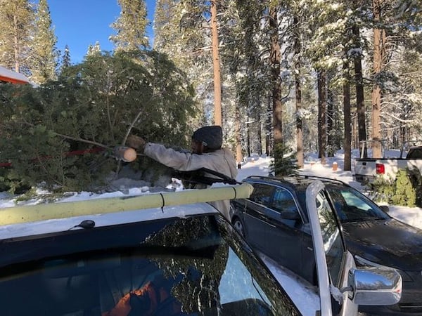 National forests across California sell Christmas tree permits to the public every year. Evelyn George and her family cut down their Christmas tree near Lake Tahoe this year.