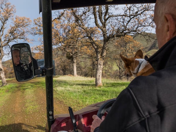 Gov. Jerry Brown rides around his ranch with his dog, Colusa, in rural Colusa County in December 2018.