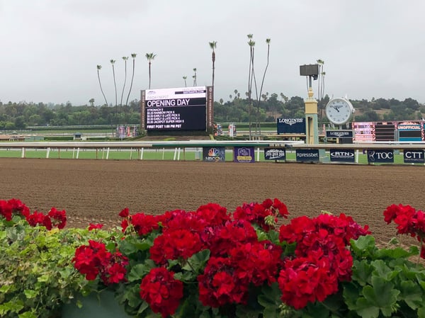 Flowers frame a new infield video board and the finish line at Santa Anita Park in Arcadia, Calif., Sept. 27, 2019. Horse racing returned to Santa Anita amid intense scrutiny after the deaths of 31 horses at the historic track earlier in 2019.