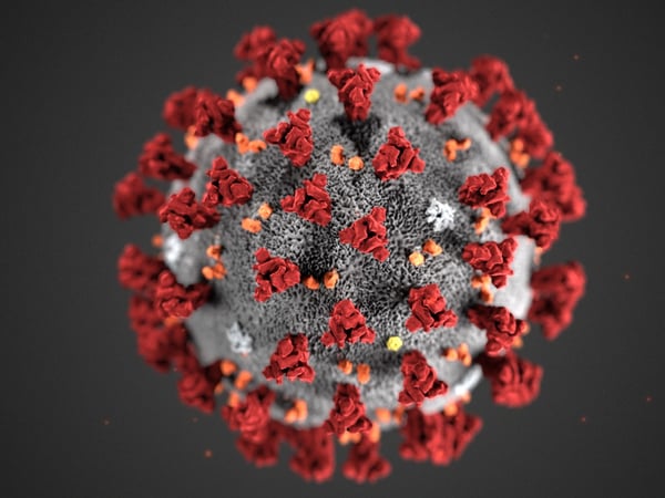 This illustration provided by the Centers for Disease Control and Prevention (CDC) in January 2020 shows the 2019 Novel Coronavirus (2019-nCoV).