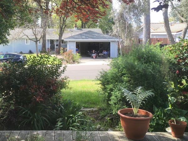 Patty Gray's Citrus Heights neighborhood