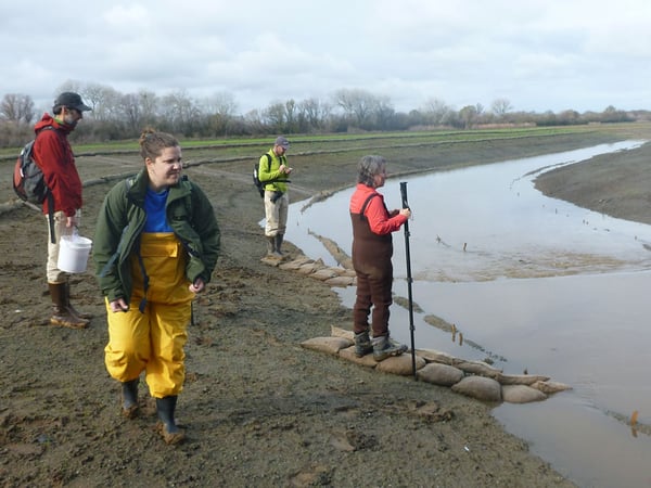 Researchers found that removing levees on the Cosumnes River can help recharge groundwater. Scientists on the project -- from left, Drew Nichols, UC Davis, Christina Bradley, UC Merced, Carson Jeffres,UC Davis and Marilyn Fogel, UC Merced.