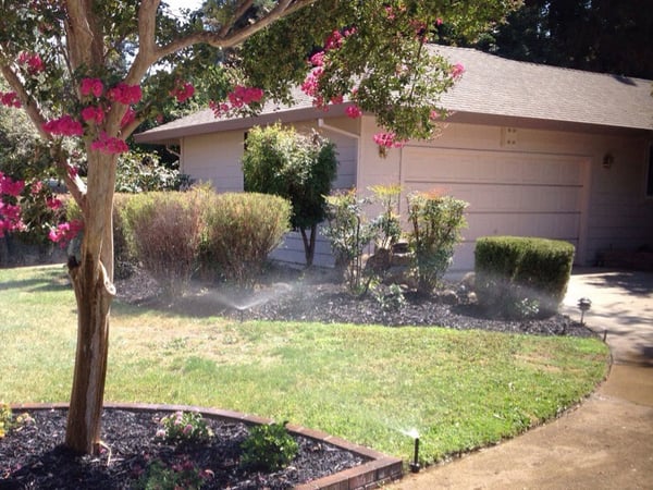 Sprinklers water a lawn in Carmichael.