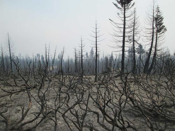 Johnson Fire from Forest Road #1