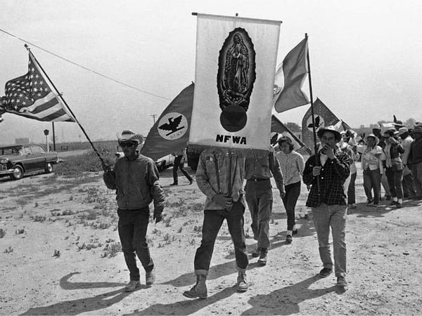 On Labor Day 2015, hundreds of Filipino and Mexican American former and current labor activists , flowed into the Central Valley town of Delano where 50 years ago, they launched the Delano grape strike that changed the course of American history.