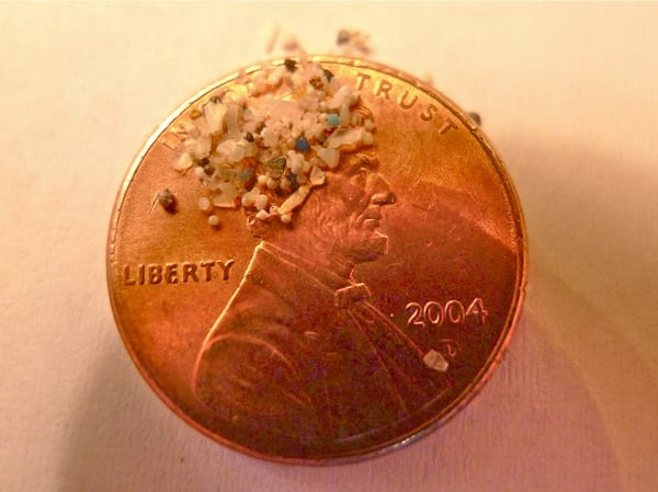 A sample of microbeads. The beads, made of plastic, are a popular ingredient in skin care products.