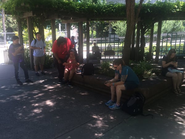 "Pokemon Go" players gather spontaneously on the Sacramento State campus Tuesday afternoon, July 12.