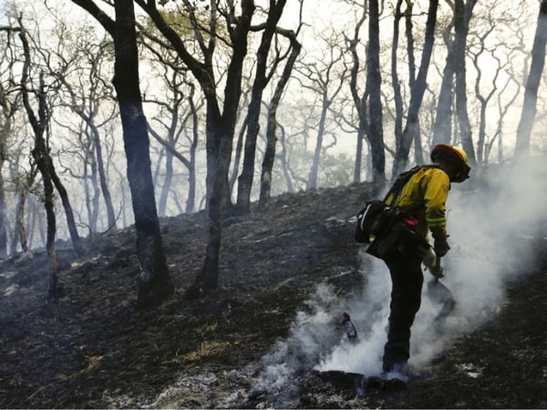 A firefighter mops up the area scorched by a wildfire Saturday, Oct. 14, 2017, in Santa Rosa, Calif.