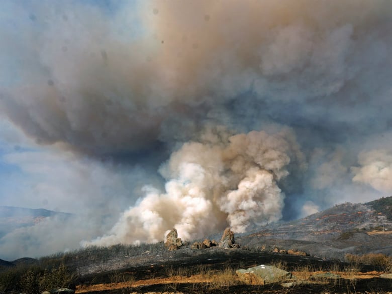 The Detwiler Fire burned more than 80,000 acres in Mariposa County, California, in July and August of 2017. 