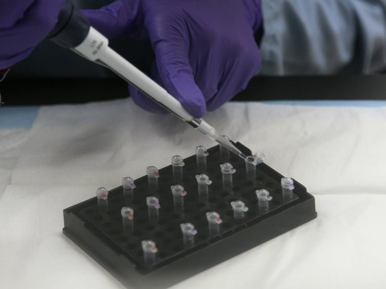 In this Feb. 17, 2012, file photo, senior criminalist Michelle Halsing works on mitochondrial DNA testing at the State of California Department of Justice Jan Bashinski DNA Laboratory in Richmond, Calif. 