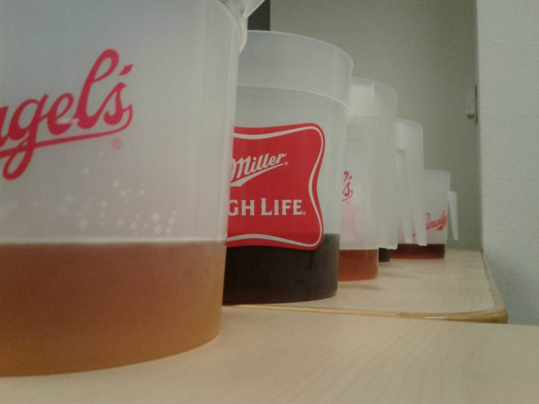 Judges from across the country are called on every year to judge the best beer California has to offer.
