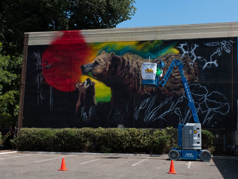Jenn Ponci's Wide Open Walls mural, on the corner on 16th and I streets, is a California-themed piece that features a bear with its cub in a field of poppies. 