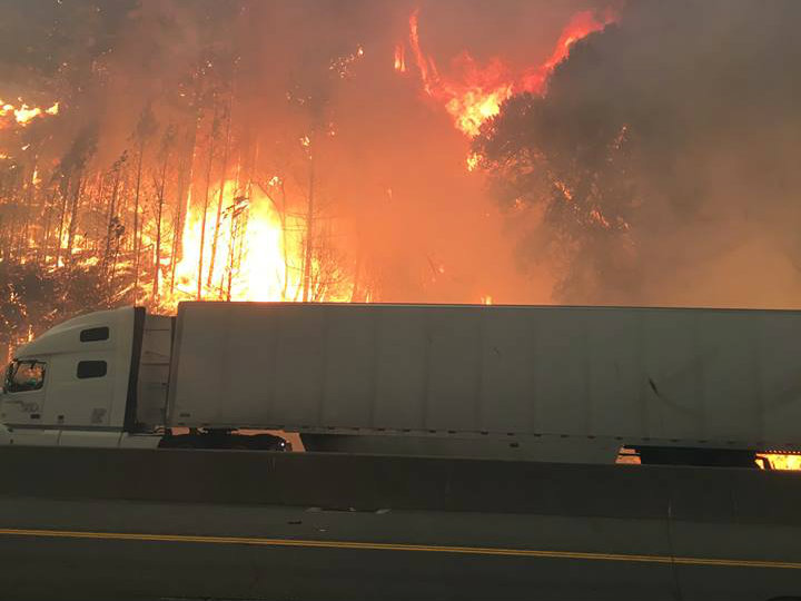 The Delta Fire is burning north of Shasta Lake in Shasta County.